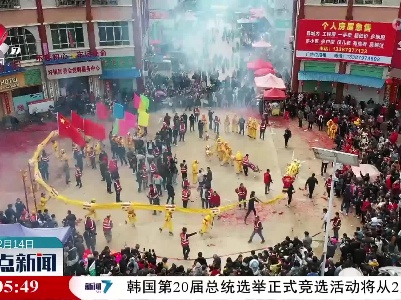 【欢乐迎元宵】定南：舞黄龙闹元宵