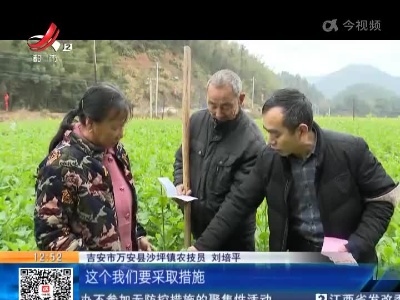 都市现场·午间版20220211