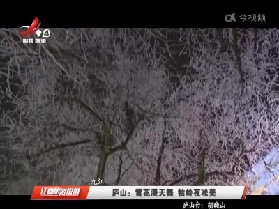 九江庐山：雪花漫天舞 牯岭夜凇美
