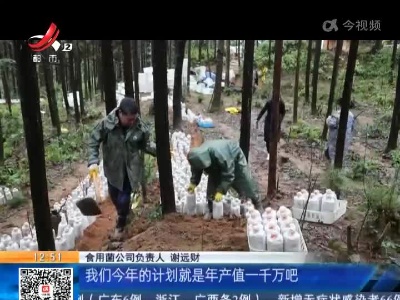 【赣闻天下】抚州广昌：新年伊始 林下种菇忙