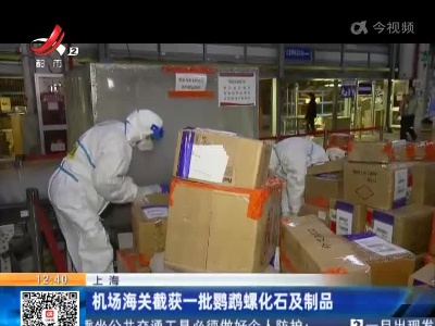 上海：机场海关截获一批鹦鹉螺化石及制品