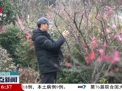 南昌：梅花朵朵报春来