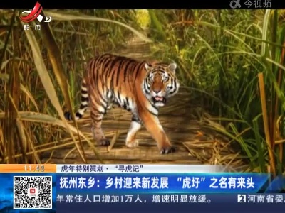 【虎年特别策划·“寻虎记”】抚州东乡：乡村迎来新发展 “虎圩”之名有来头