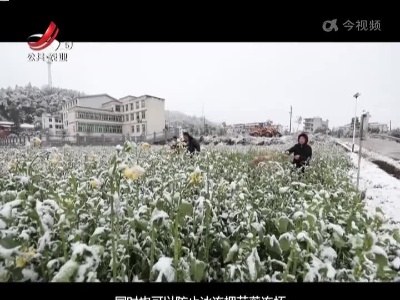 三农要闻20220210