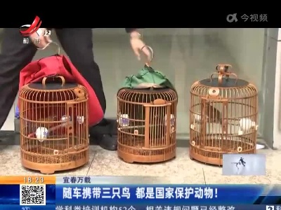 宜春万载：随车携带三只鸟 都是国家保护动物！
