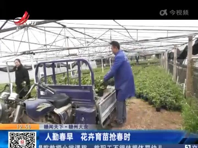 【赣闻天下】赣州大余：人勤春早 花卉育苗抢春时