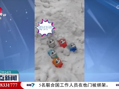 【与冬奥同行】冒雪进京 新一批“冰墩墩”补货