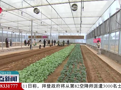 省农科院：蔬菜全程机械化设备 种植降本增效