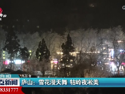 庐山：雪花漫天舞 牯岭夜凇美