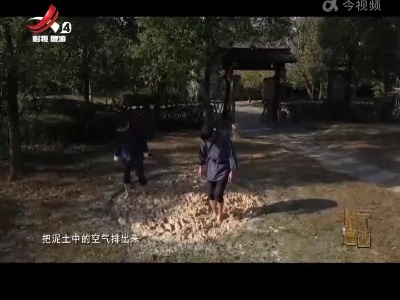 非遗江西20220226