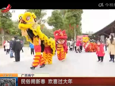 广西南宁：民俗闹新春 欢喜过大年