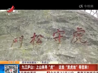 【虎年特别策划·“寻虎记”】九江庐山：上山来寻“虎” 这些“赏虎地”等您来！