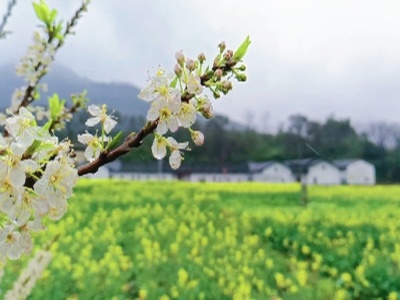 赣州龙南春回大地