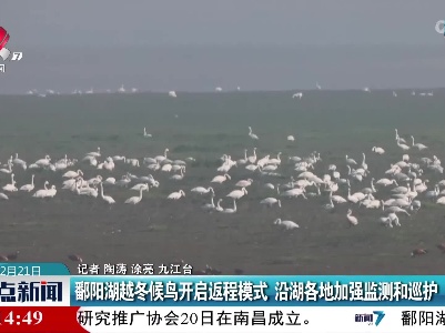 鄱阳湖越冬候鸟开启返程模式 沿湖各地加强监测和巡护