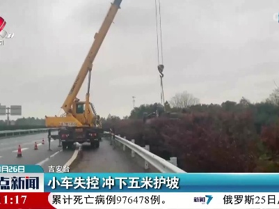 小车失控 冲下五米护坡