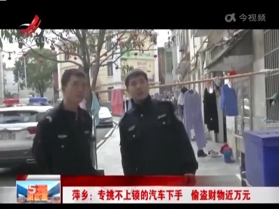 萍乡：专挑不上锁的汽车下手 偷盗财物近万元