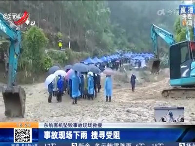 【东航客机坠毁事故现场救援】事故现场下雨 搜寻受阻