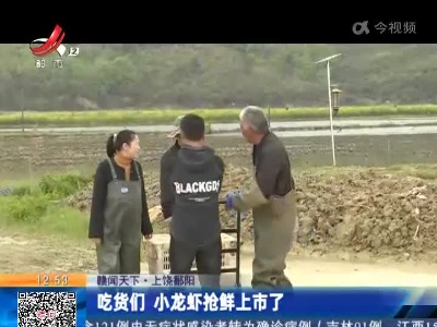 【赣闻天下】上饶鄱阳：吃货们 小龙虾抢鲜上市了