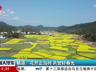 新闻大搜索20220314