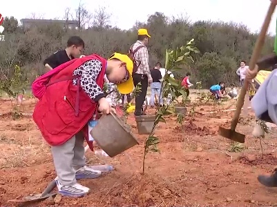 携手添新绿 不负好春光
