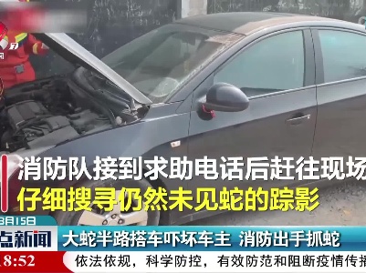 大蛇半路搭车吓坏车主 消防出手抓蛇