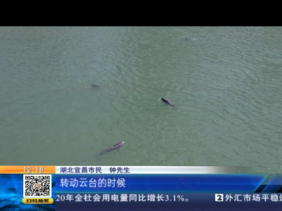 都市60分20210124