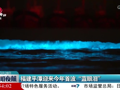 福建平潭迎来今年首波“蓝眼泪”