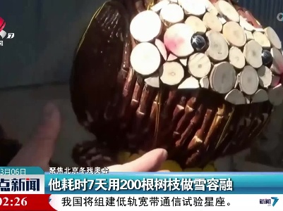【聚焦北京冬残奥会】他耗时7天用200根树枝做雪容融