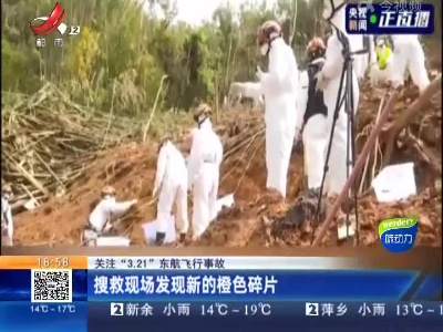 【关注“3.21”东航飞行事故】搜救现场发现新的橙色碎片