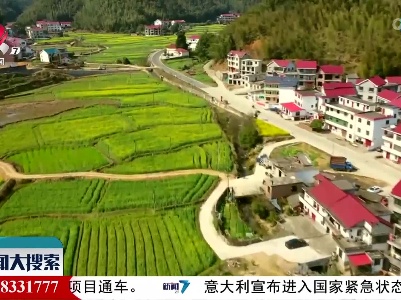 新闻大搜索20220302