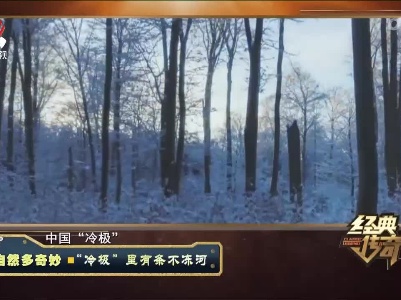 经典传奇20220311 自然多奇妙——“冷极”里有条不冻河
