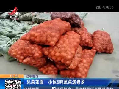 辽宁营口：见菜如面 小伙6吨蔬菜送老乡