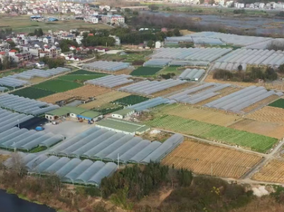 赣州龙南：老区特区心连心 数吨爱心蔬菜驰援深圳抗疫