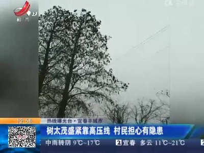 【热线曝光台】宜春丰城市：树太茂盛紧靠高压线 村民担心有隐患