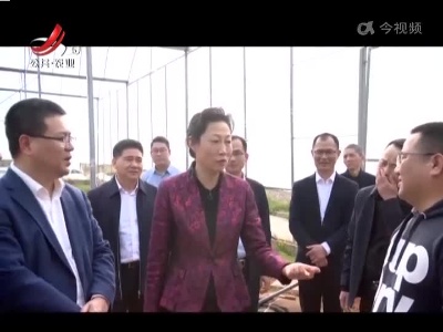 三农要闻20220305