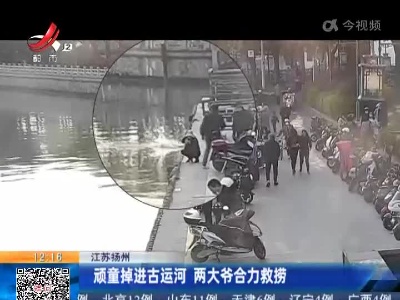 江苏扬州：顽童掉进古运河 两大爷合力救捞