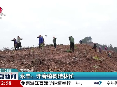 永丰：开春植树造林忙