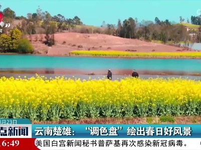 云南楚雄：“调色盘”绘出春日好风景