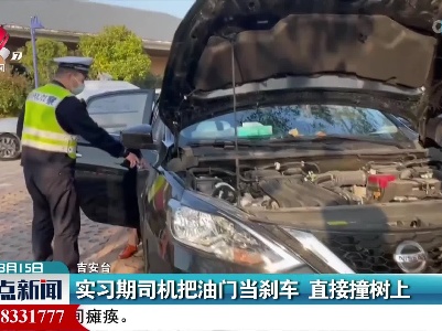 实习期司机把油门当刹车 直接撞树上