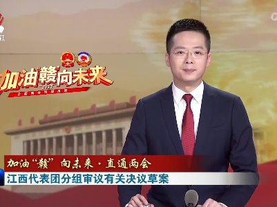 【加油“赣” 向未来·直通两会】江西代表团分组审议有关决议草案