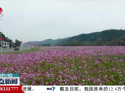 近五年来我省累计完成水土流失治理面积7798.62平方公里