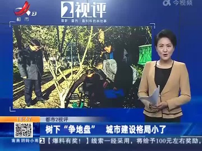 【都市2视评】树下“争地盘” 城市建设格局小了