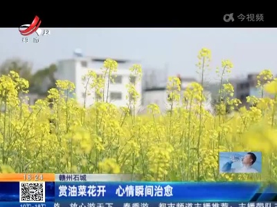 赣州石城：赏油菜花开 心情瞬间治愈