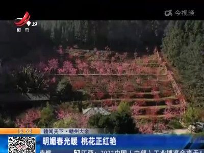 【赣闻天下】赣州大余：明媚春光暖 桃花正红艳
