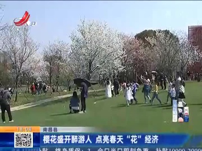 南昌县：樱花盛开醉游人 点亮春天“花”经济