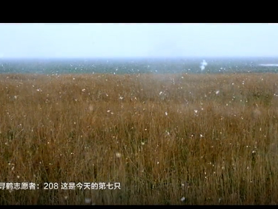 都市现场20210120