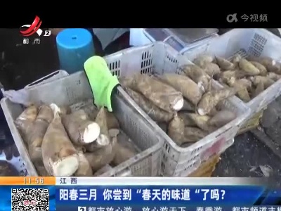 江西：阳春三月 你尝到“春天的味道“了吗？