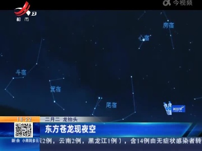 【二月二 龙抬头】东方苍龙现夜空