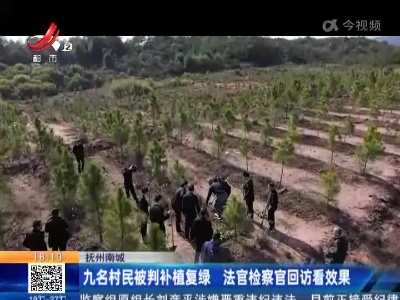 抚州南城：九名村民被判补植复绿 法官检察官回访看效果