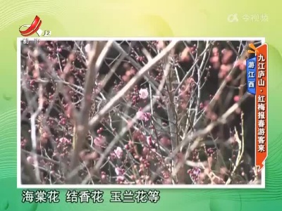 游江西——九江庐山·红梅报春游客来
